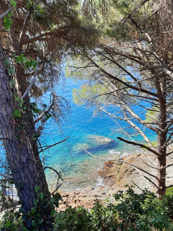 Appartamento I Soffioni La Spezia Dış mekan fotoğraf